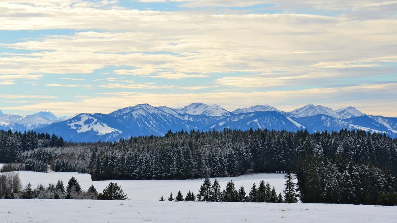 Winter Winter